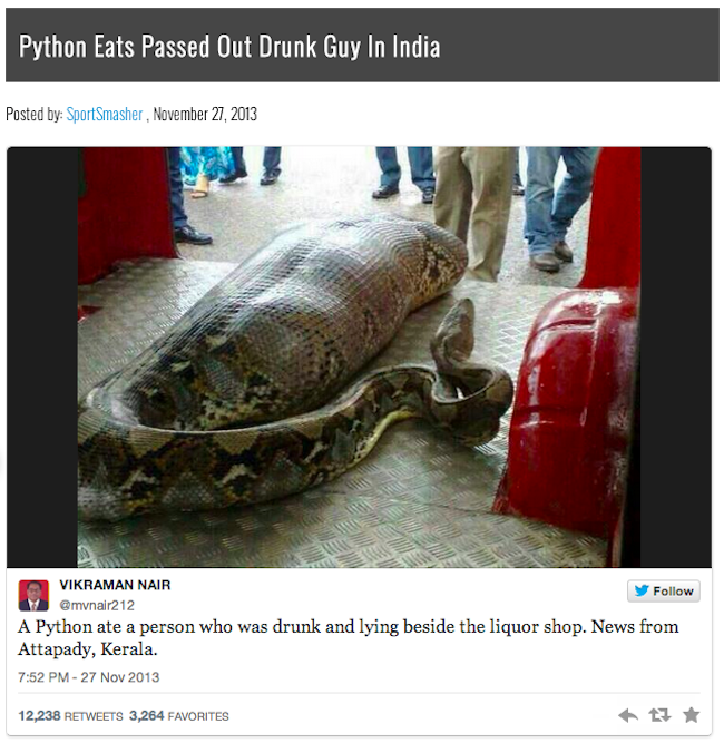 Huge Python Eats Man Latest Hoax on Internet; be careful with what you ...