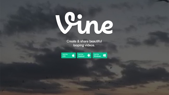 vine-website