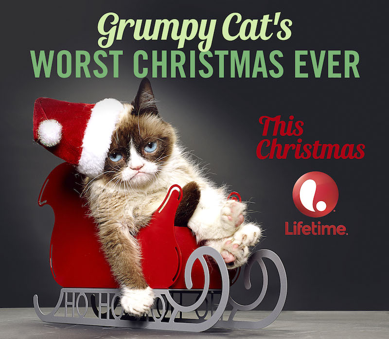 alt="grumpy-cat-movie"