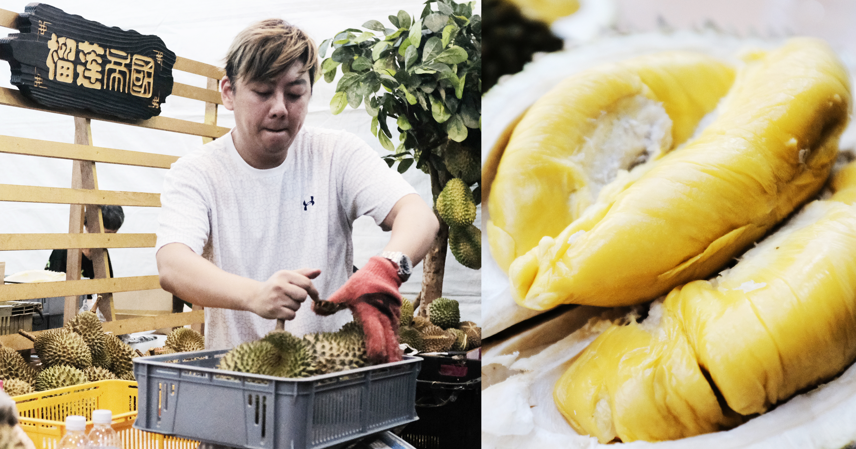 durian singapore