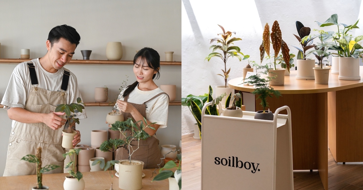 soilboy plants singapore