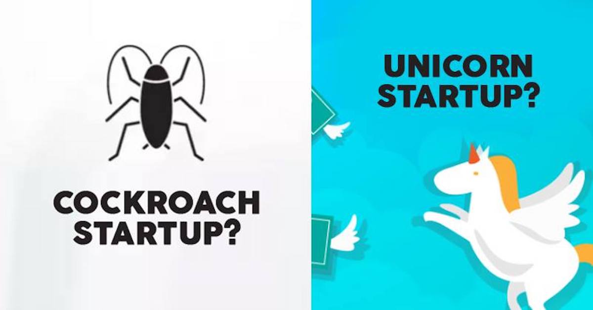 cockroach vs unicorn startup