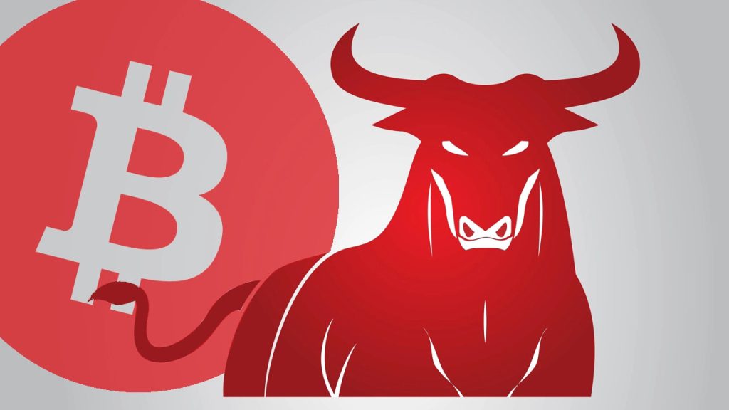 the crypto bull market