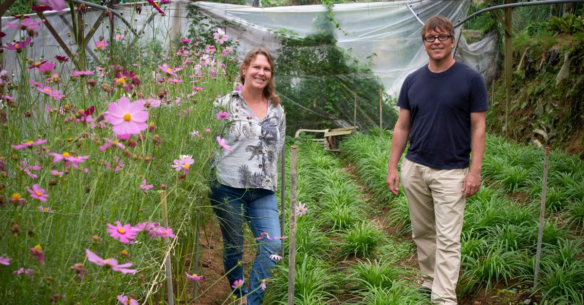 Weeds & More, granjas de hortalizas europeas en Cameron Highlands