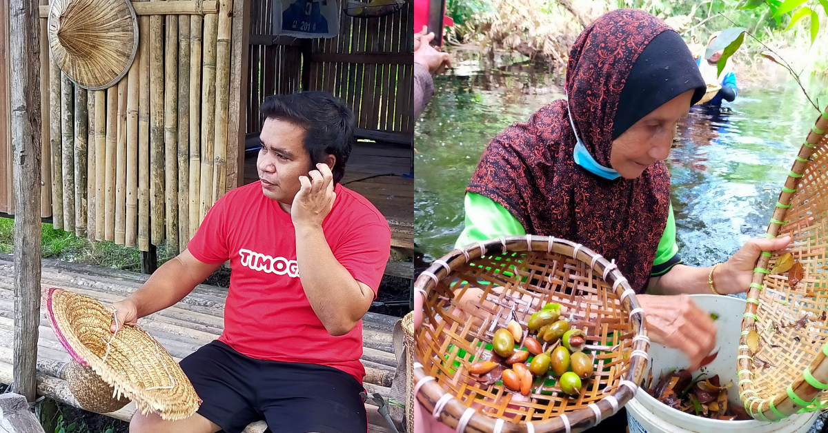 Timogah, M’sian Food E-Commerce para productos rurales de Sarawak