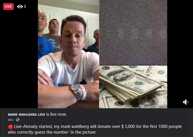 mark wahlberg scam