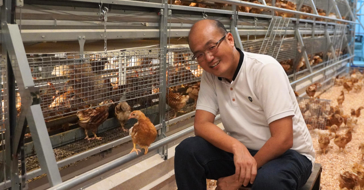 TC Poultry Farm presenta el primer aviario sin jaulas de Malasia