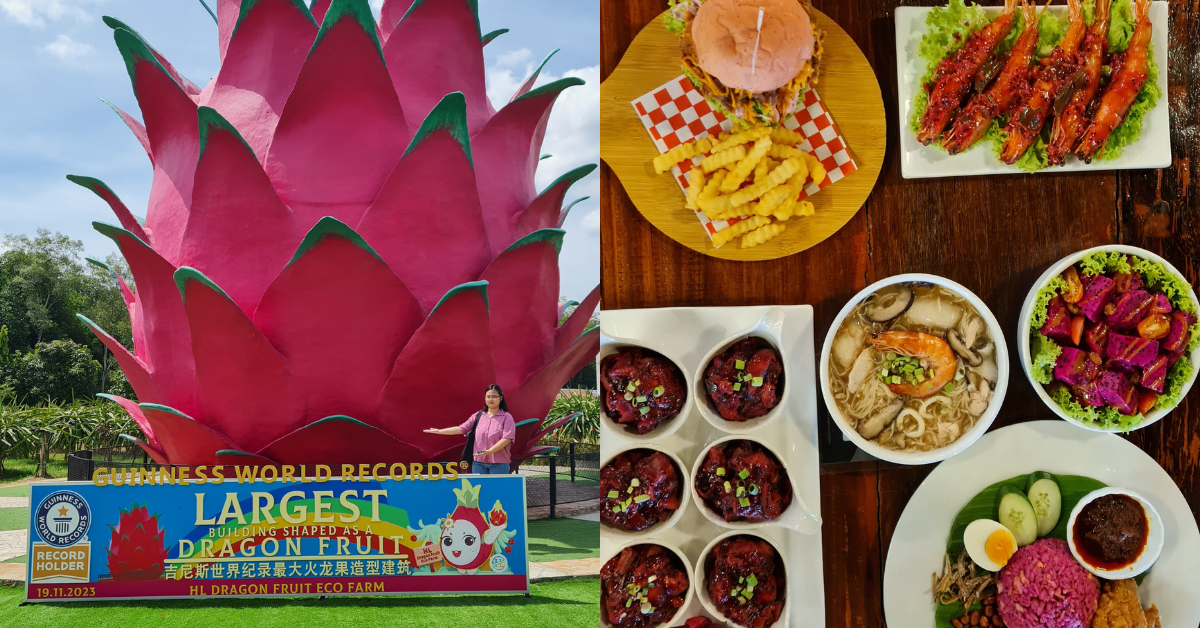 [Review] HL Dragon Fruit Eco Farm Tour y experiencia en restaurante