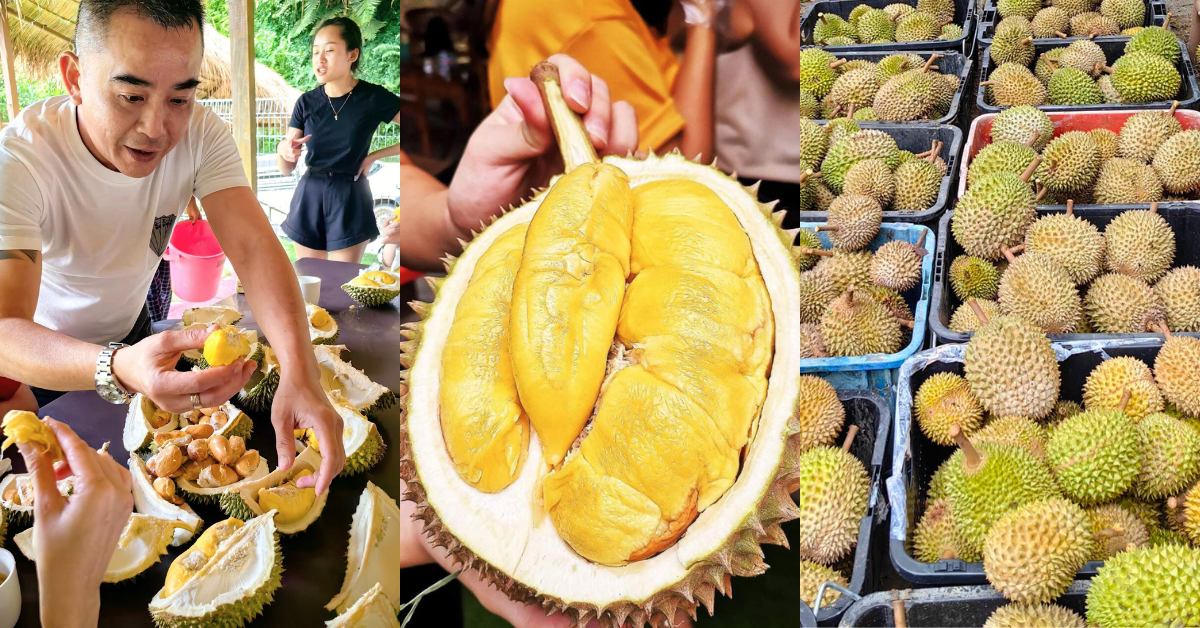 6 lugares de buffet de durian en Malasia en 2024, con precios y selección