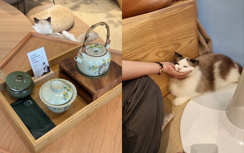 CATEA tea and cat