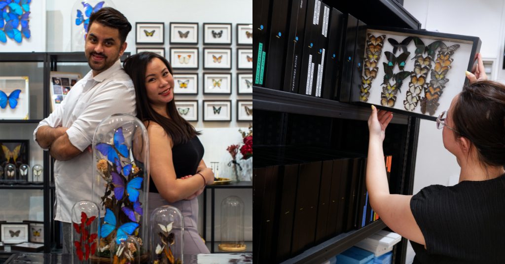 black crow taxidermy & art owners