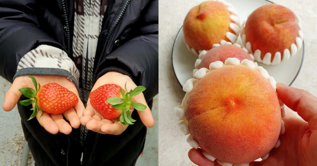 timo & farmers strawberries peach
